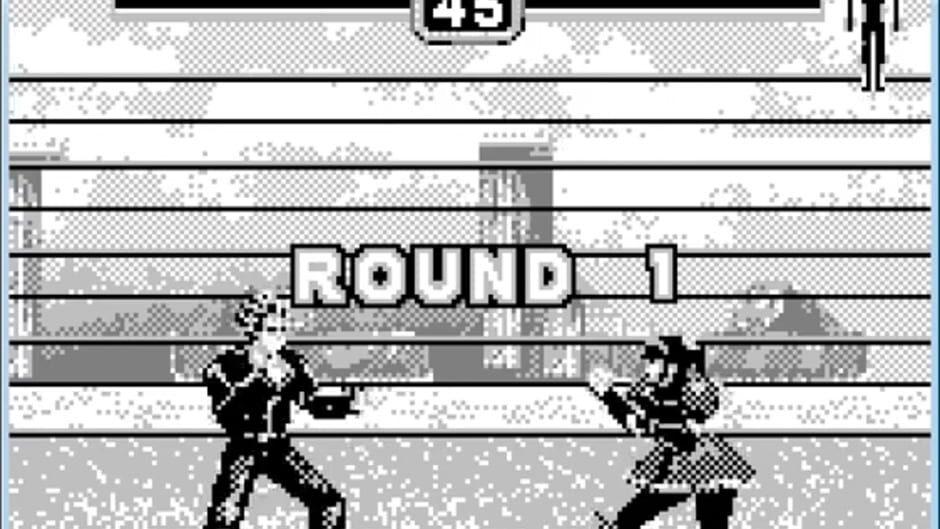 Fighters Megamix screenshot 2