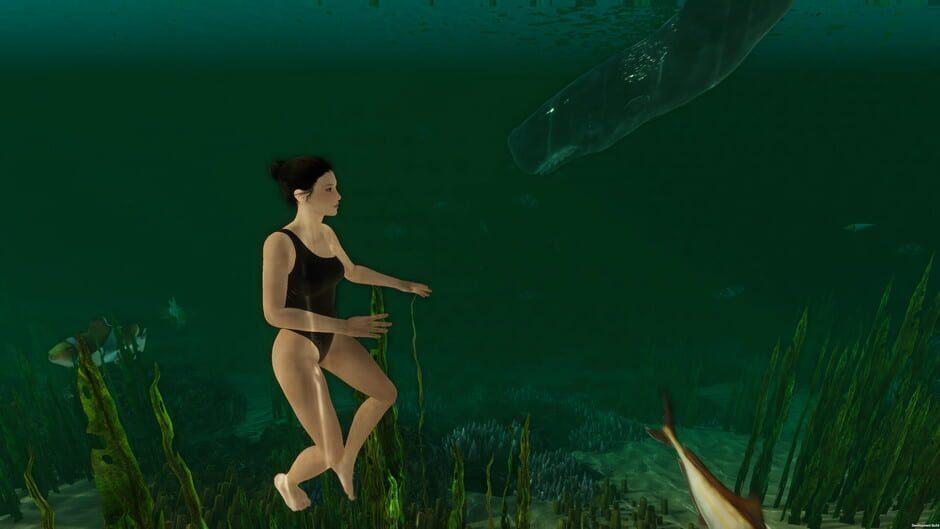 Island Notes screenshot 2