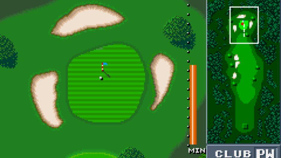 Birdie Try screenshot 1