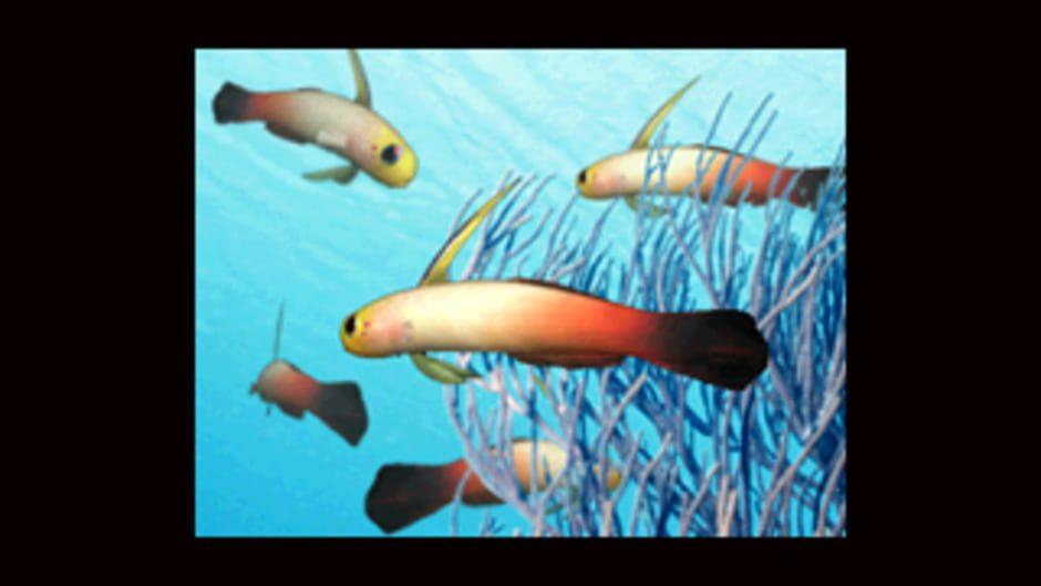 Aqua-World: Umi Monogatari screenshot 3