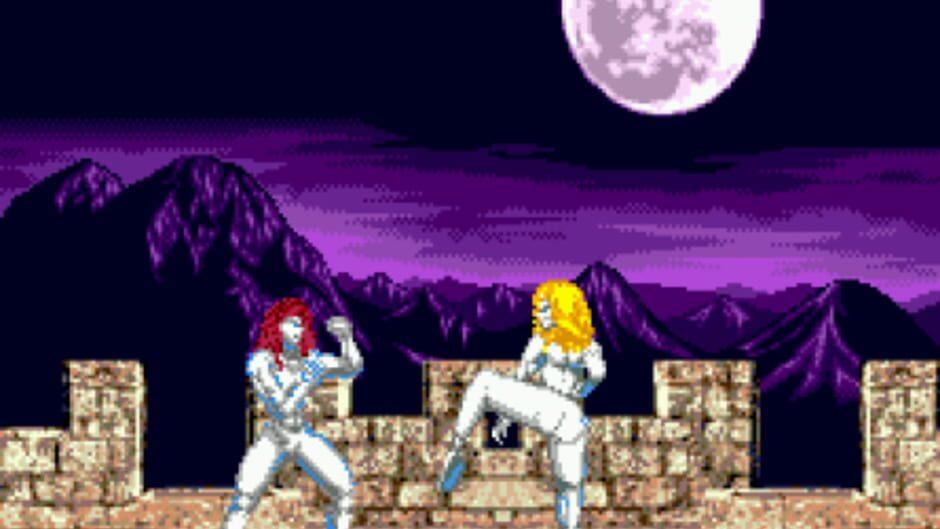 Fight for Vengeance screenshot 2