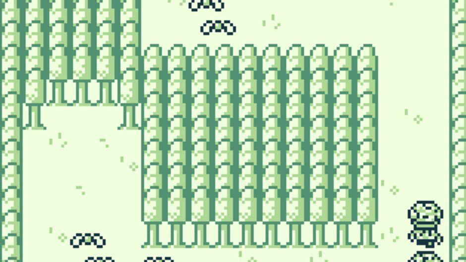 Rooster screenshot 4