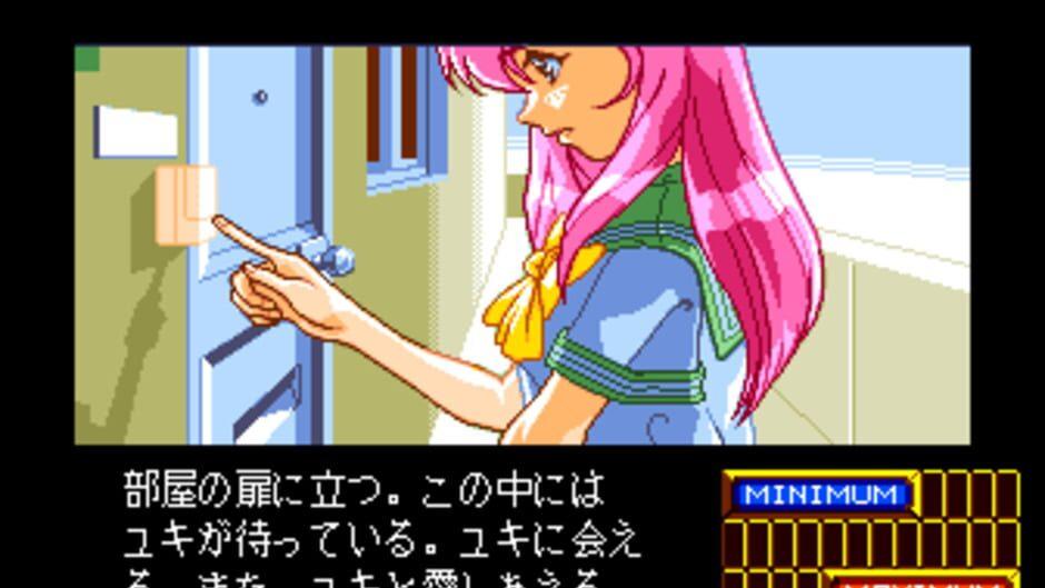 Shinsetsu Shiawase Usagi 2 screenshot 1