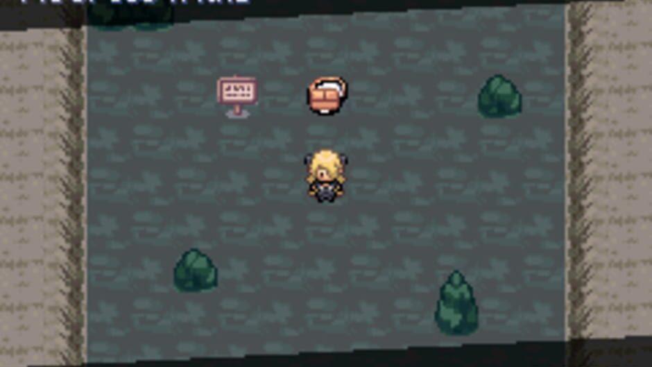 Pokémon: The Pit screenshot 1