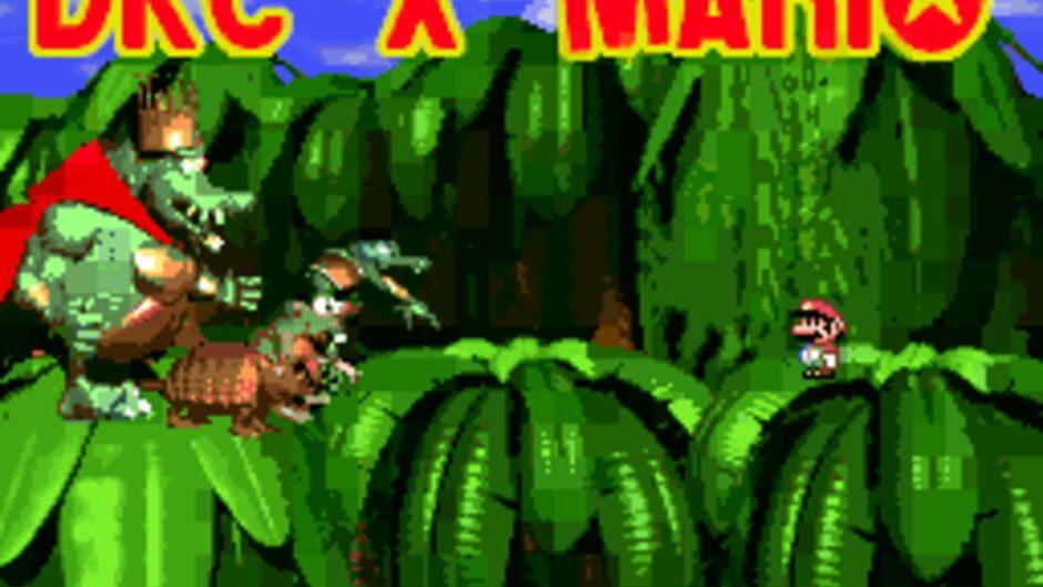 DKC X Mario screenshot 1