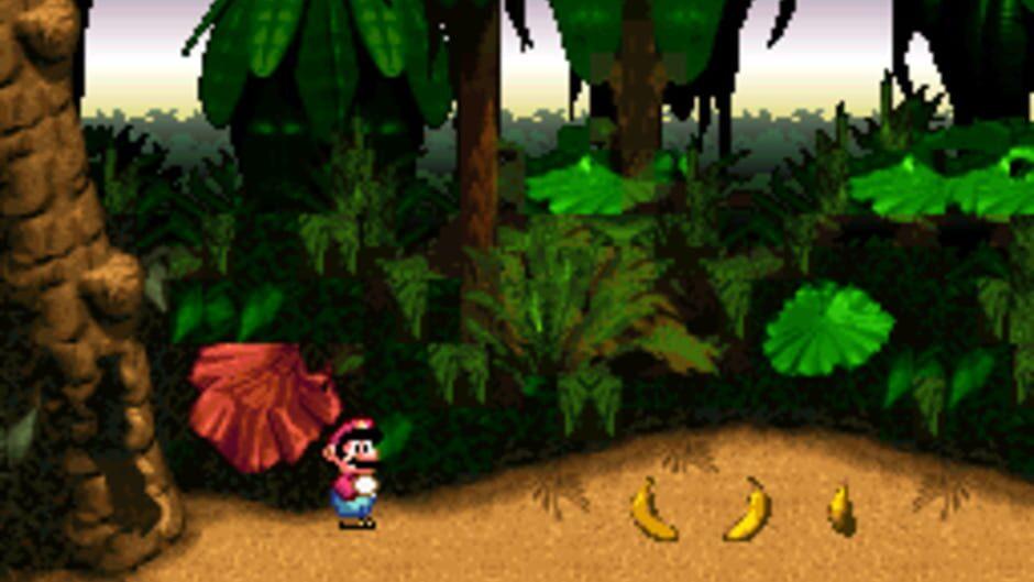 DKC X Mario screenshot 3