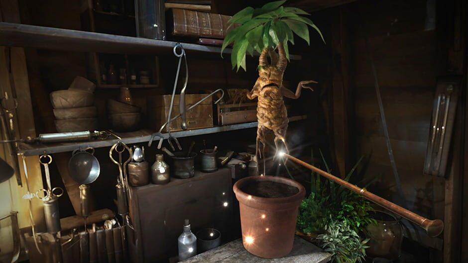 Fantastic Beasts and Where to Find Them: VR Experience screenshot 4