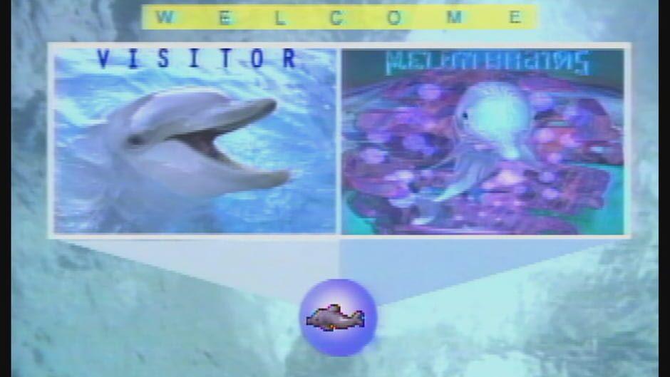 Melon Brains: Exploring The Mind Of The Dolphin screenshot 1
