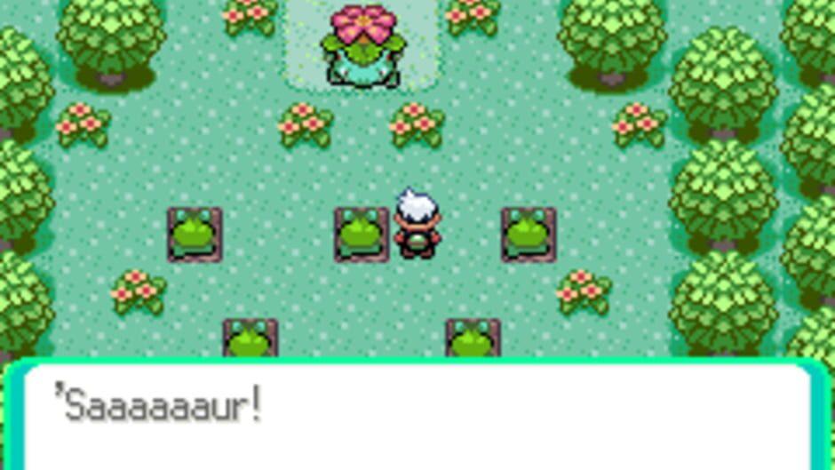 Pokémon Emerald Horizons screenshot 2