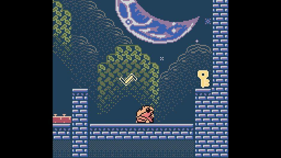 Pyrotoad screenshot 1
