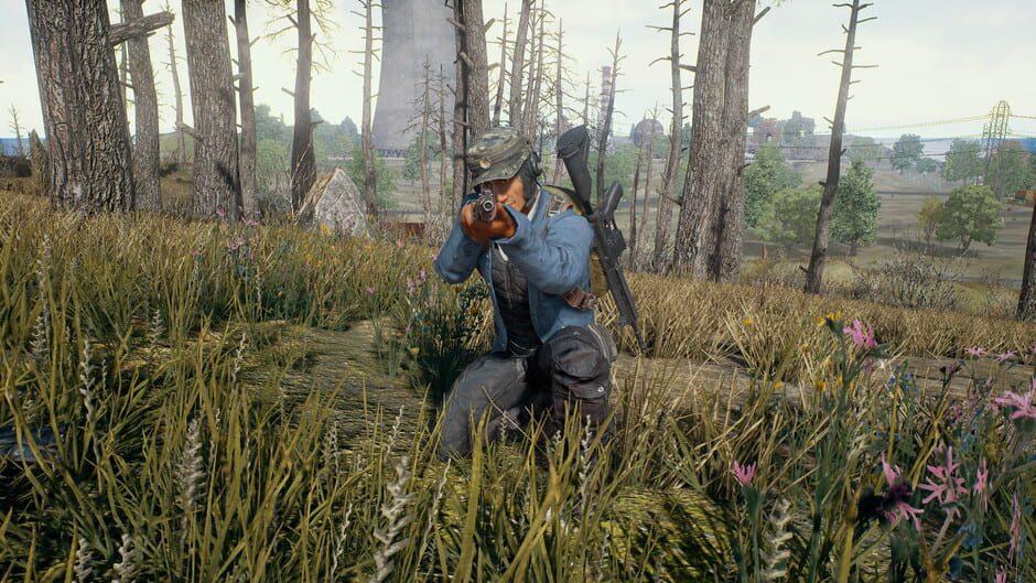 PUBG: Battlegrounds screenshot 1