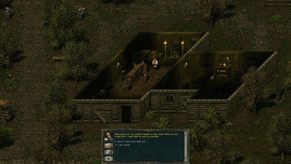 Divine Divinity screenshot 2