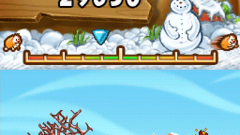 Crazy Hamster screenshot 3
