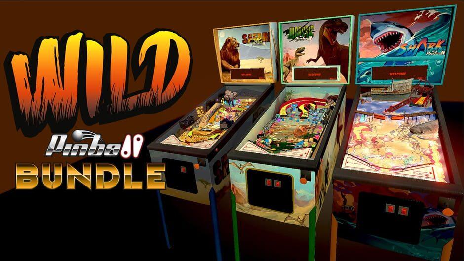 Wild Pinball Bundle artwork 1