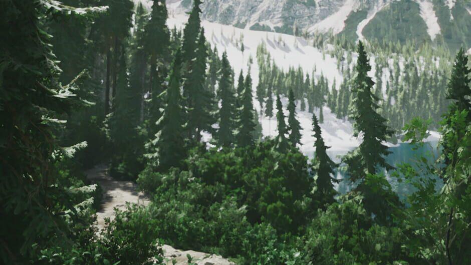 Lushfoil Photography Sim artwork 1