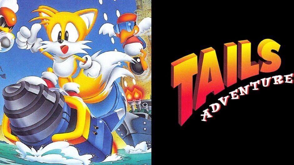 Tails Adventure artwork 1
