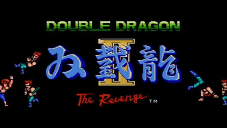 Double Dragon II: The Revenge artwork 2