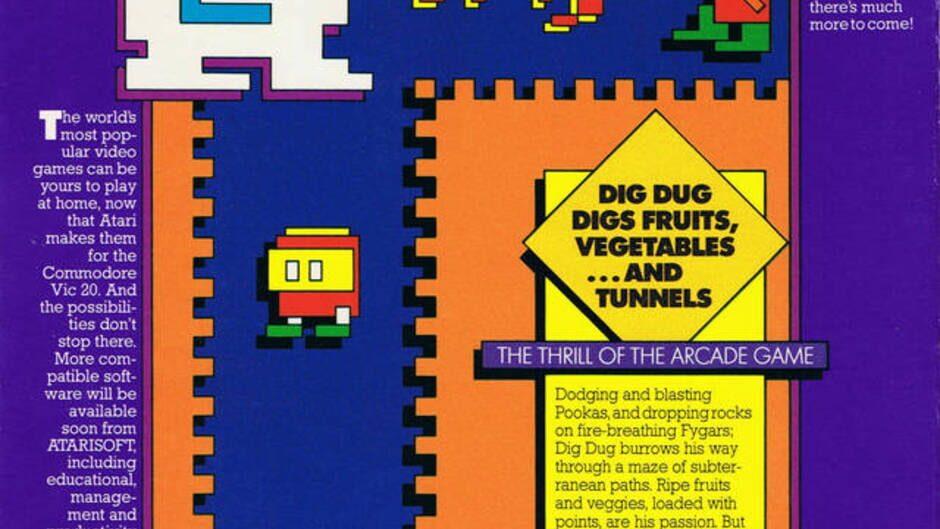 Dig Dug artwork 1