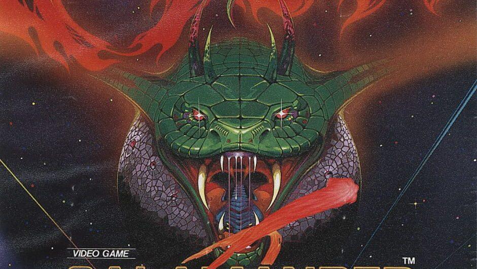 Salamander artwork 1