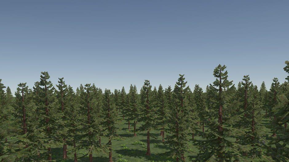 Backwoods Town artwork 1