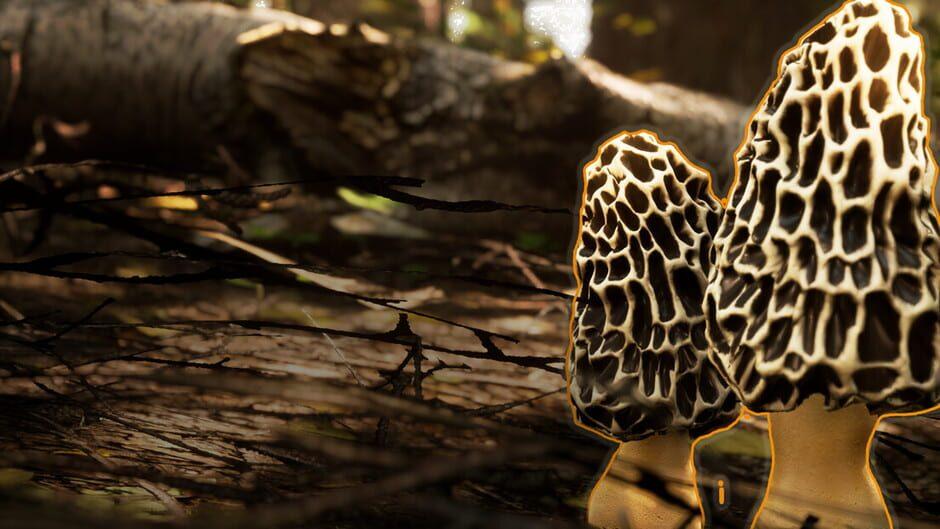 Morels: The Hunt 2 artwork 1