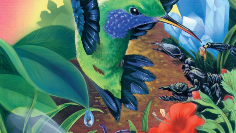 Kolibri artwork 1