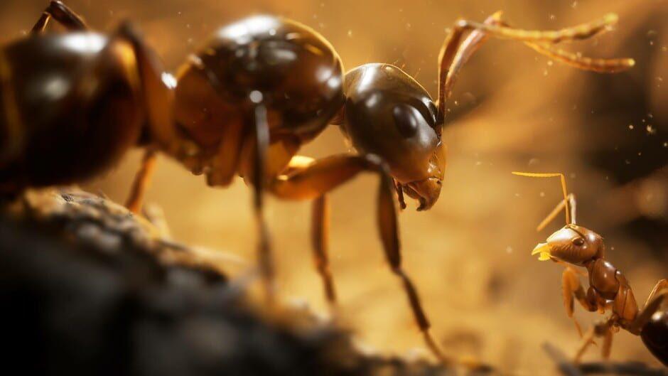 Empire of the Ants artwork 2