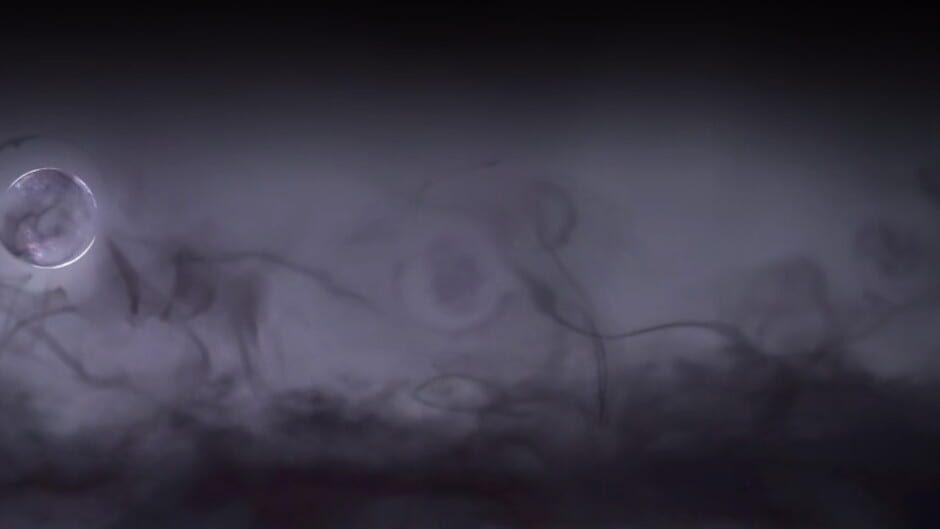 Cyrano Story artwork 1