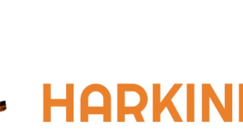 Ship of Harkinian artwork 2