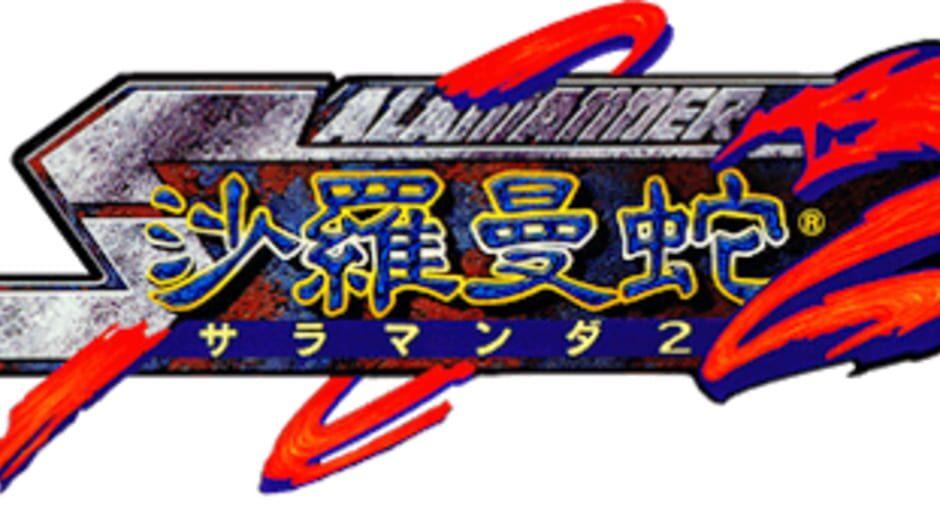 Salamander 2 artwork 1
