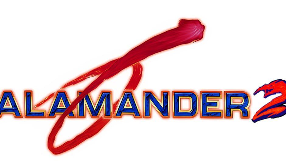 Salamander 2 artwork 2