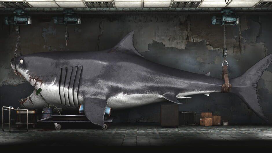 Shark Dentist artwork 1