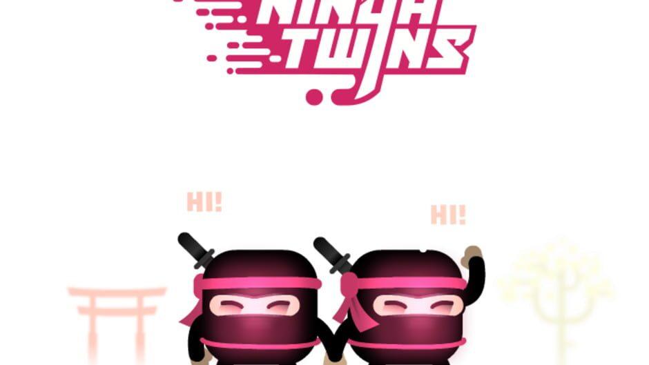 The Last Ninja Twins artwork 1