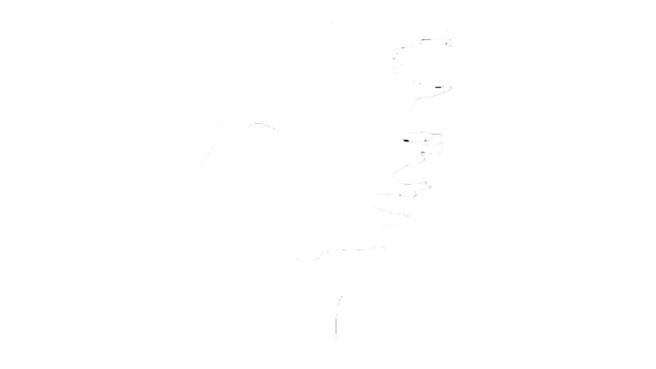 Traitor artwork 2