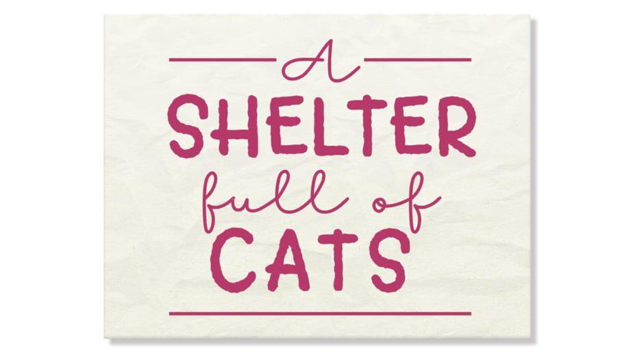 A Shelter Full of Cats artwork 2