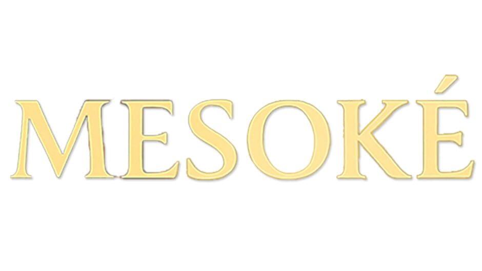 Mesoké artwork 4