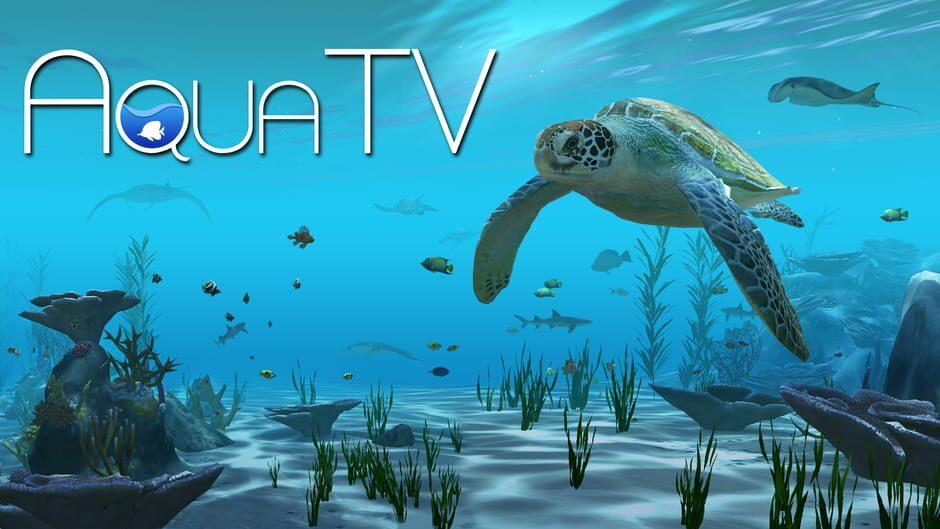 Aqua TV artwork 1