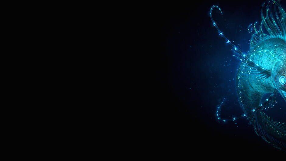 Biolum artwork 1
