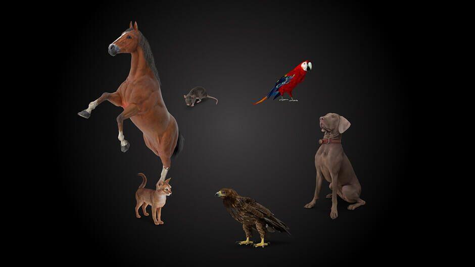 Animal Trainer artwork 1