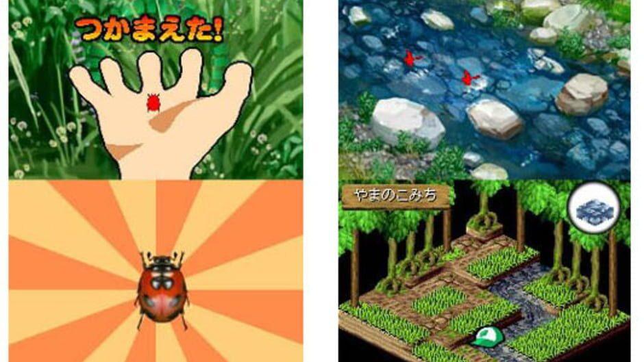 Beetle King screenshot 1