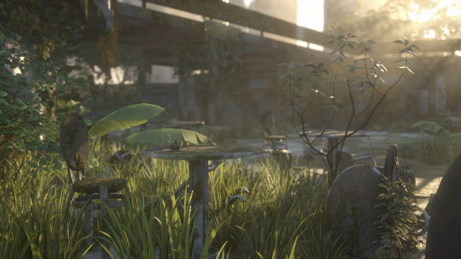 Reset screenshot 2