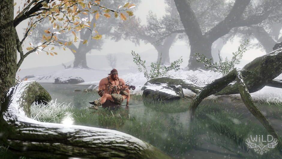 WiLD screenshot 3