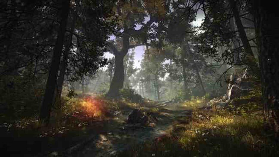 The Witcher 2: Assassins of Kings - Enhanced Edition screenshot 1