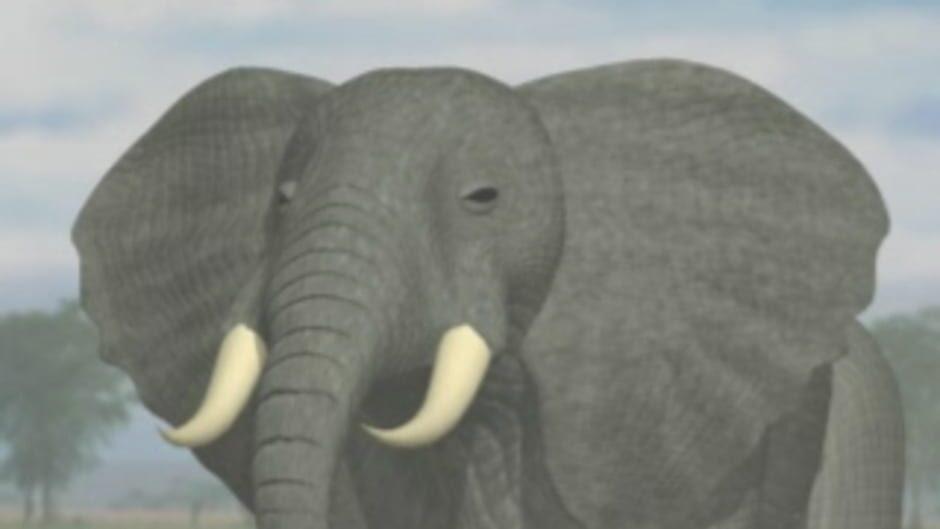 Simulation Zoo screenshot 1