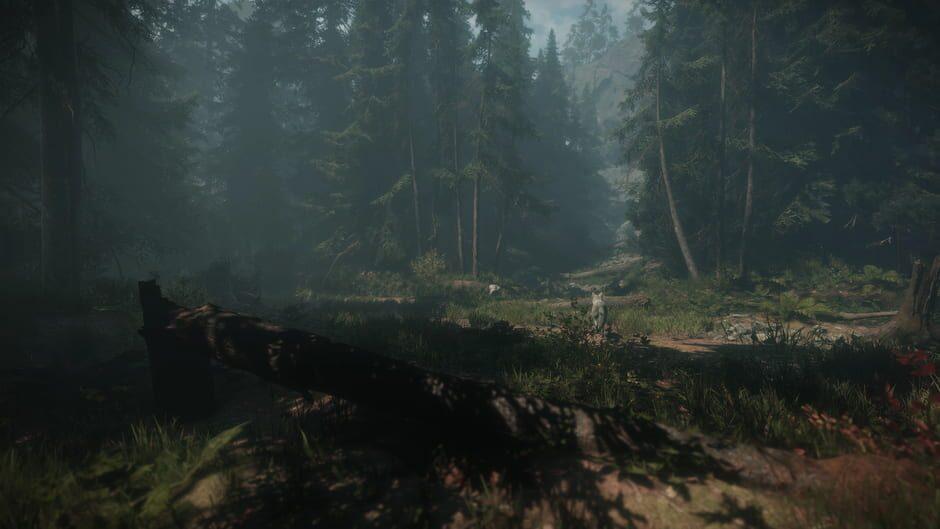 Maid of Sker screenshot 2