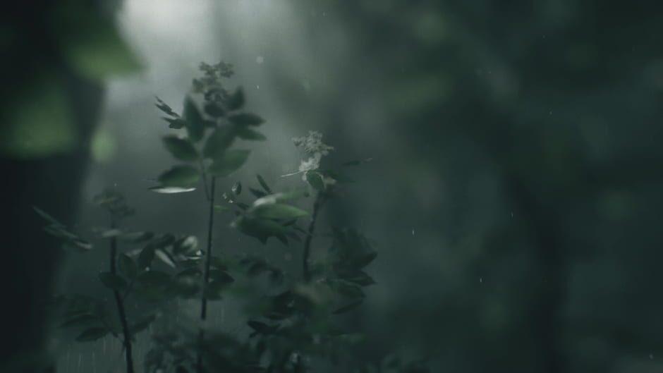 Wakamarina Valley, New Zealand screenshot 2