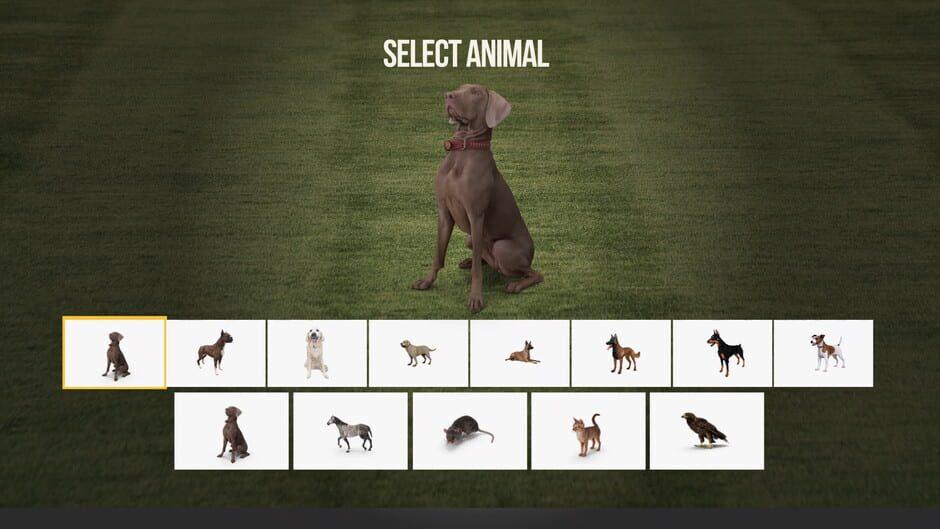 Animal Trainer screenshot 2