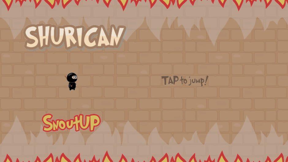 Ninja Shurican screenshot 2