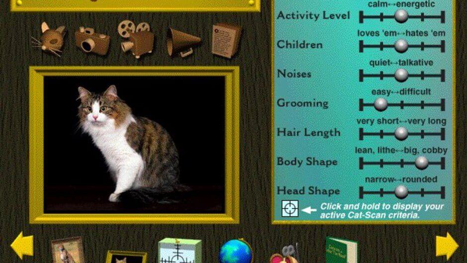 Multimedia Cats screenshot 2