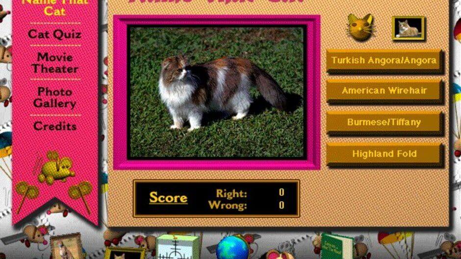 Multimedia Cats screenshot 3